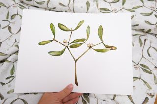 JMELÍ je spojováno s mnoha tradicemi. Dle internetových zdrojů je nositelem štěstí a lásky. Tento jednoduchý (nejen)...