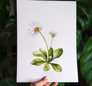 Víte, v čem jsou mé kolekce jedinečné? Není to mojí osobou 😃😇, ale mými ručně malovanými ilustracemi, které od prvního...